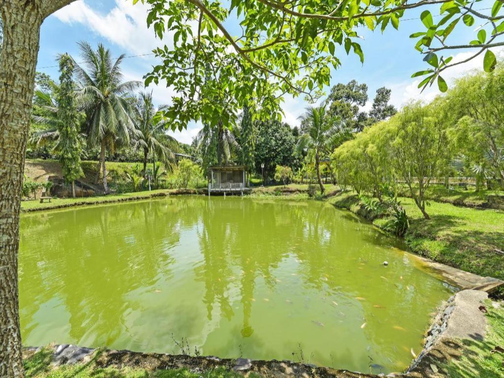 Oyo 90636 Teratak Zakiah Chalet Jerantut Esterno foto